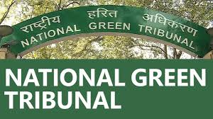 NGT-1.jpg