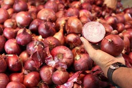 Onion2.jpg