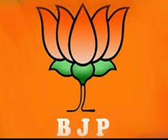 bjp1-1.jpg