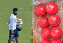 दिन-रात्रि टेस्ट के लिए भारत-बांग्लादेश ने गुलाबी गेंद से किया अभ्यास