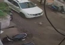 भोपाल में कार से डॉग कुचलने का मामला:कोहेफिजा पुलिस से पशु प्रेमी बोले- एफआईआर दर्ज करो, धाराएं भी बताई